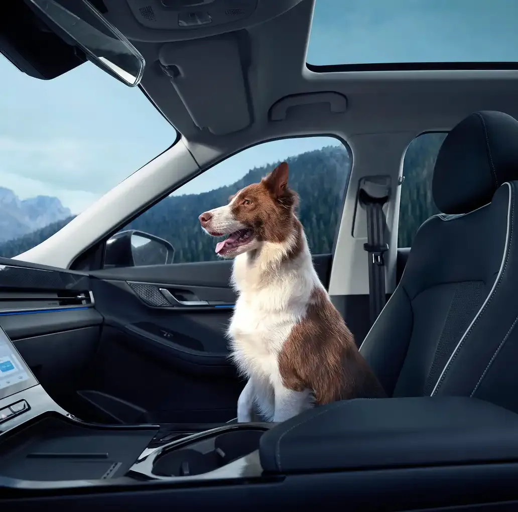 Jaecoo 5 EV — Udobnost za vas i vaše ljubimce